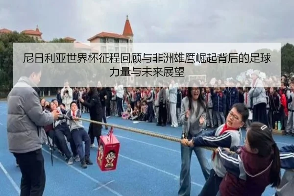 尼日利亚世界杯征程回顾与非洲雄鹰崛起背后的足球力量与未来展望