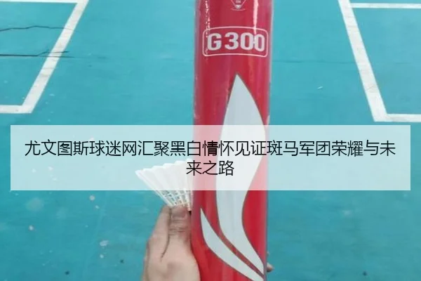 尤文图斯球迷网汇聚黑白情怀见证斑马军团荣耀与未来之路
