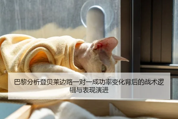 巴黎分析登贝莱边路一对一成功率变化背后的战术逻辑与表现演进