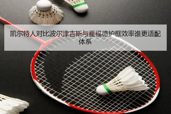凯尔特人对比波尔津吉斯与霍福德护框效率谁更适配体系